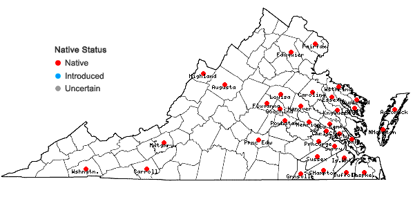 Locations ofCarex howei Mackenzie in Virginia