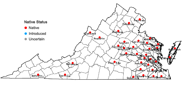 Locations ofCarex howei Mackenzie in Virginia