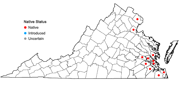 Locations ofCarex hyalinolepis Steudel in Virginia