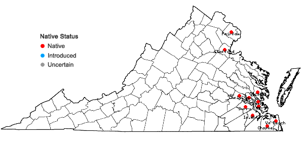 Locations ofCarex hyalinolepis Steudel in Virginia
