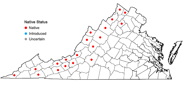 Locations ofCarex hystericina Muhl. ex Willd. in Virginia