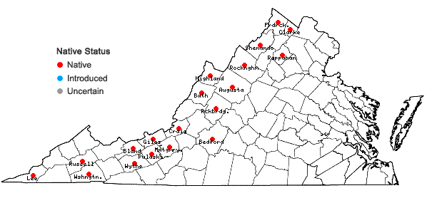 Locations ofCarex hystericina Muhl. ex Willd. in Virginia