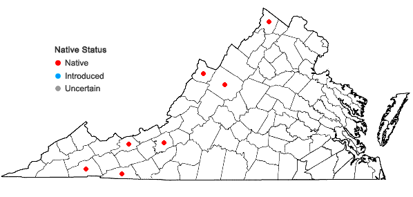 Locations ofCarex interior Bailey in Virginia