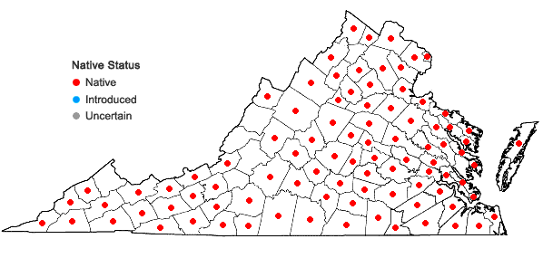 Locations ofCarex intumescens Rudge var. intumescens in Virginia