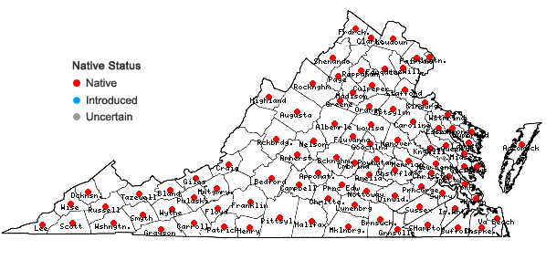 Locations ofCarex intumescens Rudge var. intumescens in Virginia