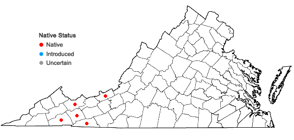 Locations ofCarex intumescens Rudge var. fernaldii Bailey in Virginia