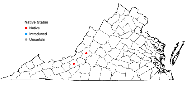 Locations ofCarex juniperorum Catling, Rezn., & Crins in Virginia