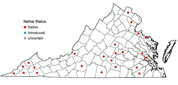 Locations ofCarex kraliana Naczi & Bryson in Virginia