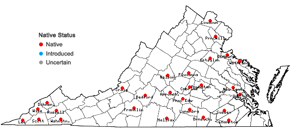 Locations ofCarex kraliana Naczi & Bryson in Virginia