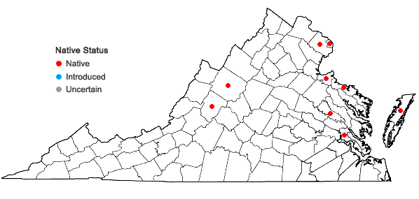 Locations ofCarex lacustris Willdenow in Virginia