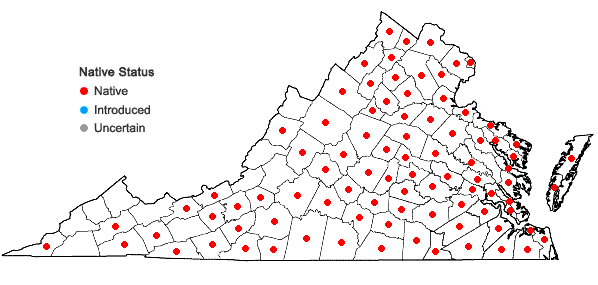 Locations ofCarex laevivaginata (Kukenth.) Mackenzie in Virginia
