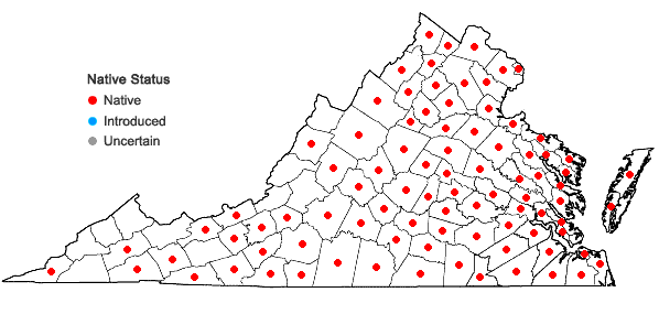 Locations ofCarex laevivaginata (Kukenth.) Mackenzie in Virginia