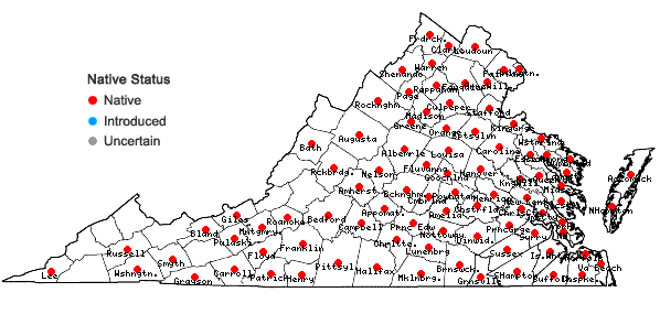 Locations ofCarex laevivaginata (Kukenth.) Mackenzie in Virginia