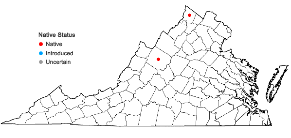 Locations ofCarex lasiocarpa Erhr. var. americana Fernald in Virginia