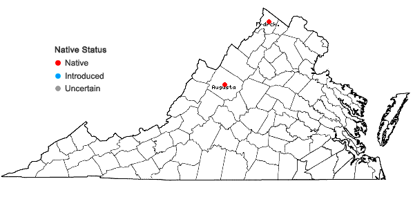 Locations ofCarex lasiocarpa Erhr. var. americana Fernald in Virginia