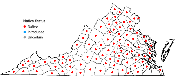 Locations ofCarex laxiculmis Schweinitz in Virginia