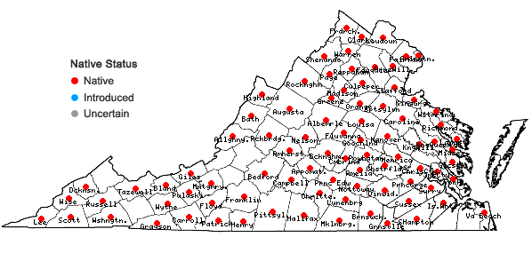 Locations ofCarex laxiculmis Schweinitz in Virginia