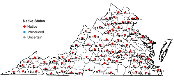 Locations ofCarex laxiflora Lam. in Virginia