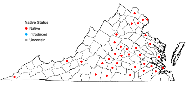 Locations ofCarex leavenworthii Dewey in Virginia