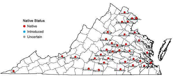 Locations ofCarex leavenworthii Dewey in Virginia
