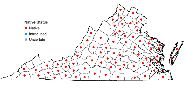 Locations ofCarex leptalea Wahlenberg var. leptalea in Virginia