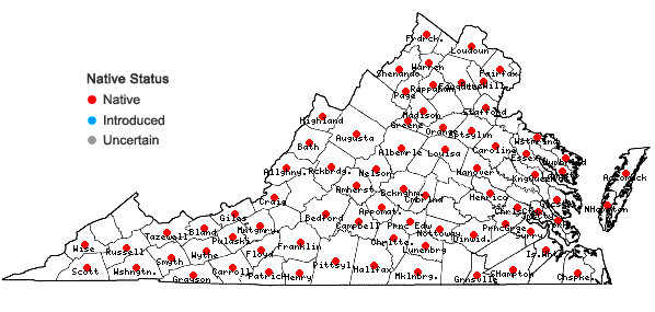 Locations ofCarex leptalea Wahlenberg var. leptalea in Virginia