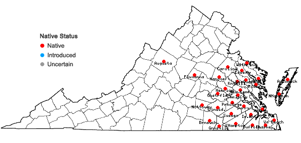 Locations ofCarex lonchocarpa Willd. ex Sprengel in Virginia