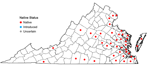 Locations ofCarex longii Mackenzie in Virginia