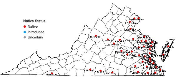 Locations ofCarex longii Mackenzie in Virginia