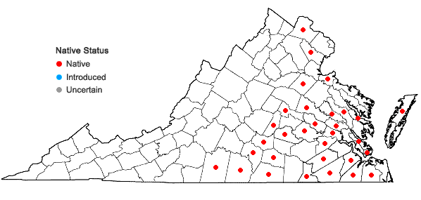 Locations ofCarex louisianica Bailey in Virginia