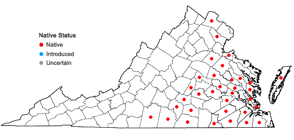 Locations ofCarex louisianica Bailey in Virginia