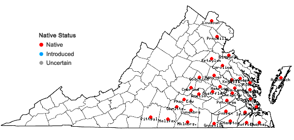 Locations ofCarex louisianica Bailey in Virginia