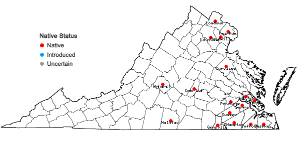 Locations ofCarex lupuliformis Sartwell ex Dewey in Virginia