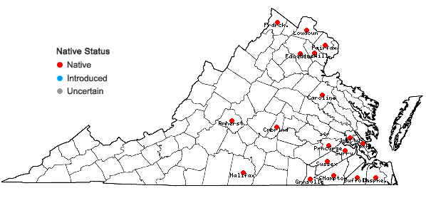 Locations ofCarex lupuliformis Sartwell ex Dewey in Virginia