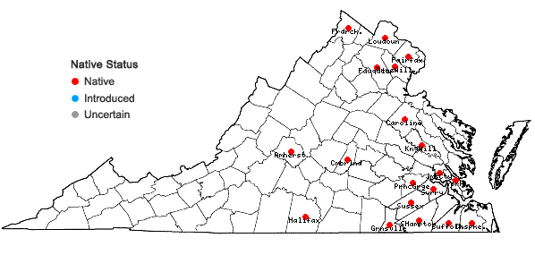 Locations ofCarex lupuliformis Sartwell ex Dewey in Virginia