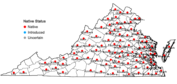Locations ofCarex lupulina Willd. in Virginia