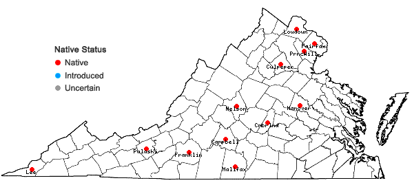 Locations ofCarex meadii Dewey in Virginia