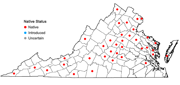 Locations ofCarex mesochorea Mackenzie in Virginia