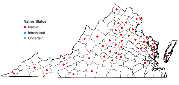 Locations ofCarex mesochorea Mackenzie in Virginia