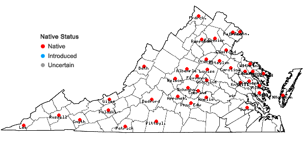Locations ofCarex mesochorea Mackenzie in Virginia