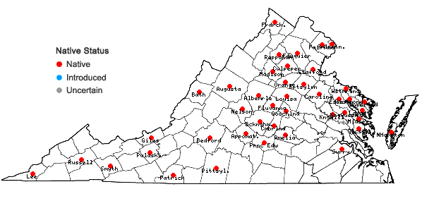 Locations ofCarex mesochorea Mackenzie in Virginia