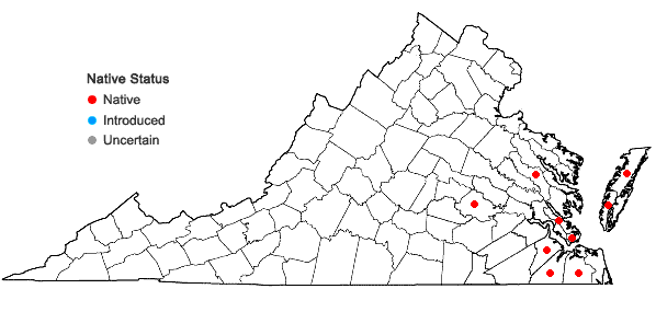 Locations ofCarex mitchelliana M.A. Curtis in Virginia