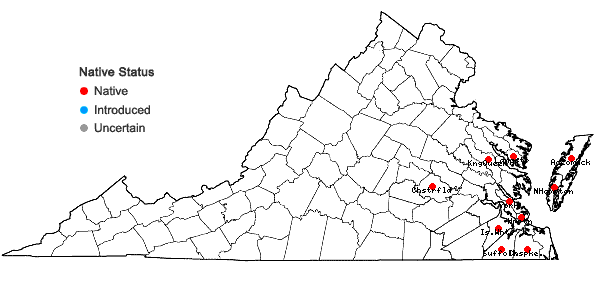 Locations ofCarex mitchelliana M.A. Curtis in Virginia