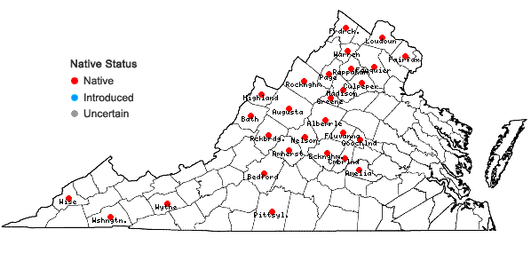 Locations ofCarex molestiformis Rezn. & P. Rothr. in Virginia