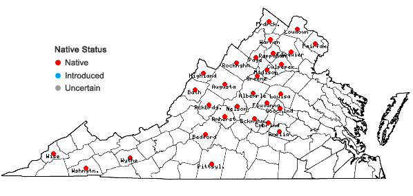 Locations ofCarex molestiformis Rezn. & P. Rothr. in Virginia