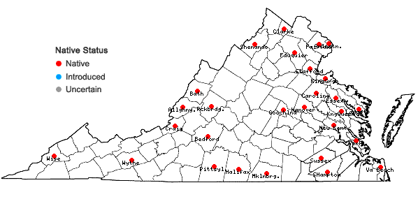 Locations ofCarex muehlenbergii Schk. ex Willd. var. muehlenbergii in Virginia