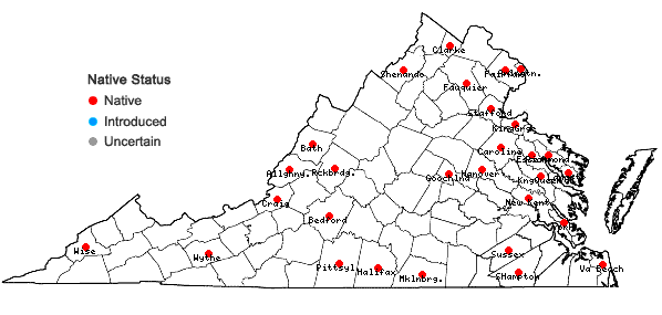 Locations ofCarex muehlenbergii Schk. ex Willd. var. muehlenbergii in Virginia