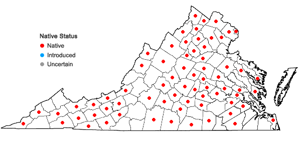 Locations ofCarex normalis Mackenzie in Virginia