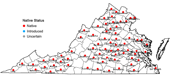 Locations ofCarex normalis Mackenzie in Virginia