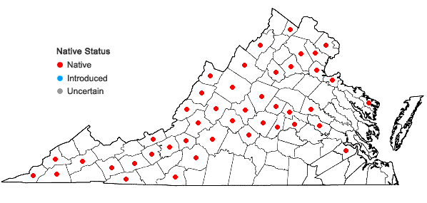 Locations ofCarex oligocarpa Willd. in Virginia